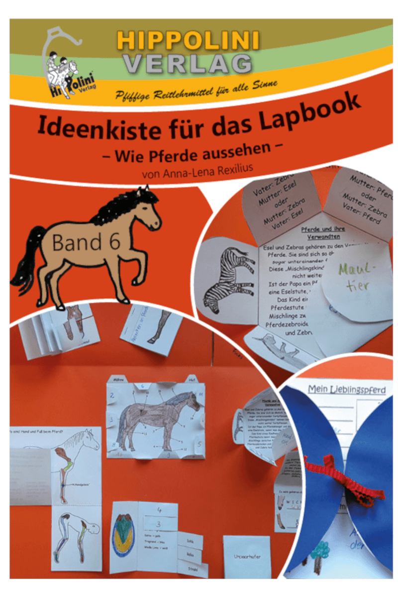 Lapbook Band 6 – Aussehen & Körperbau – Download - Hippolini-Verlag