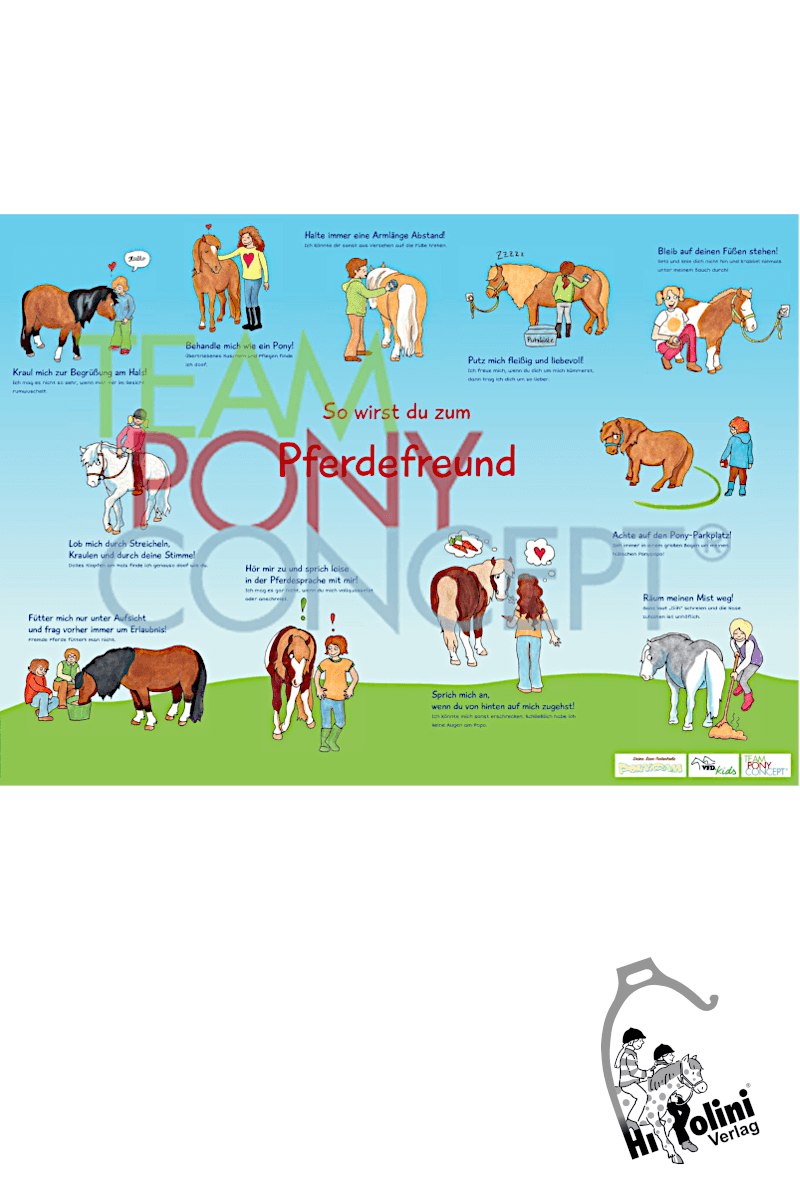 Lehrposter / So wirst du zum Pferdefreund! - Hippolini-Verlag