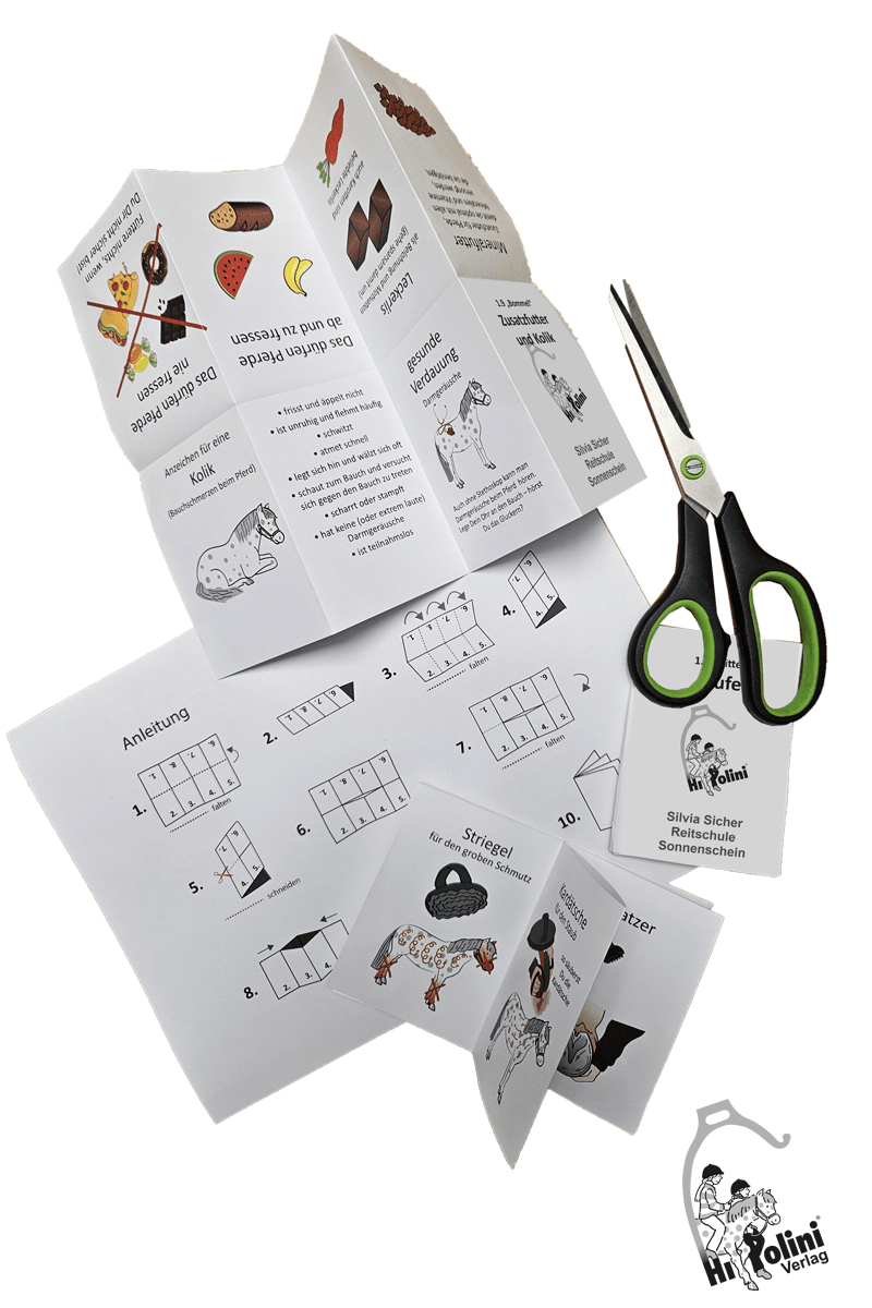 Minibooks Curriculum HIPPOLINI 1 - Hippolini-Verlag