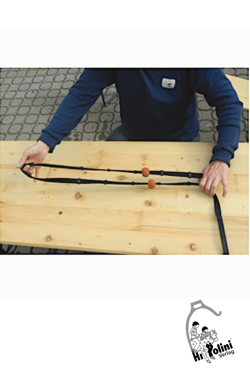 HIPPOLINI-Handstyler - Hippolini-Verlag