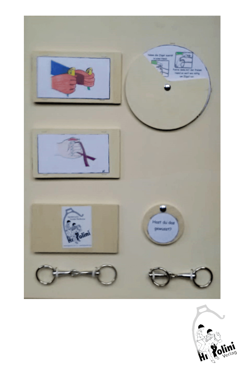 HIPPOLINI-Lehrtafel Zügel - Hippolini-Verlag