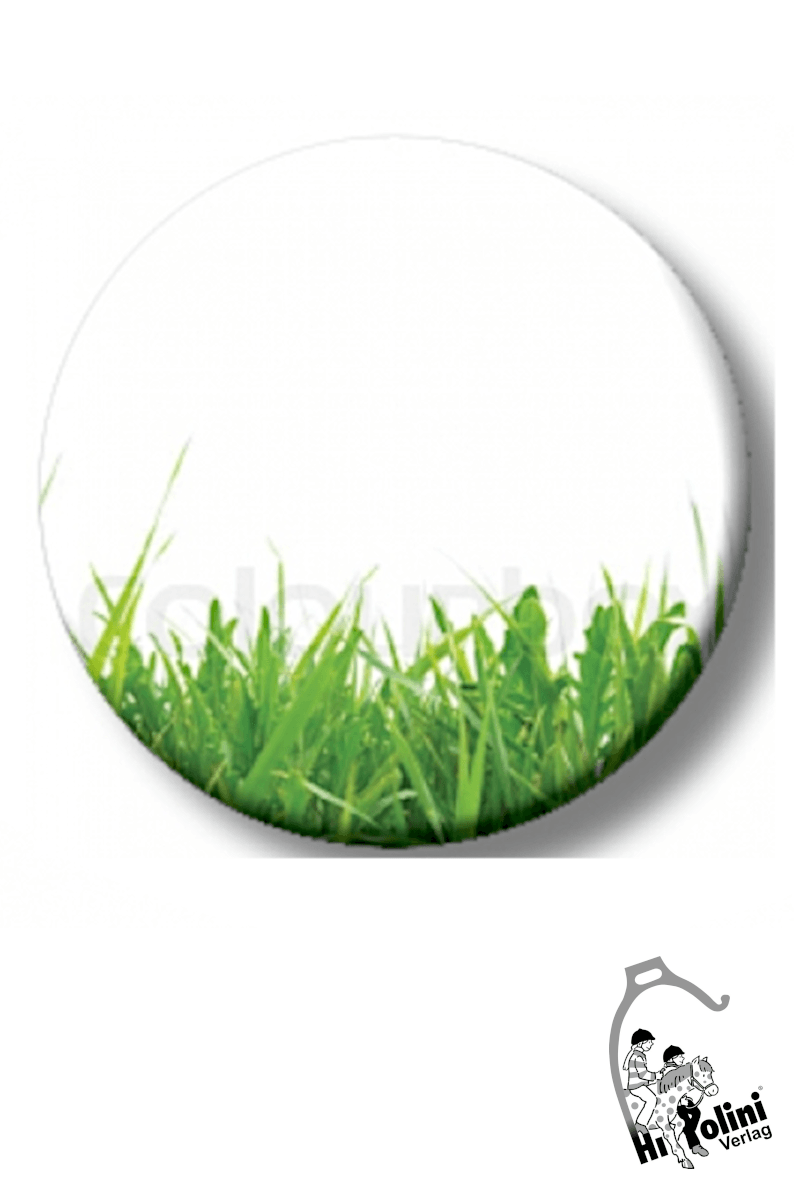 Magnetspiel Futterampel - Hippolini-Verlag