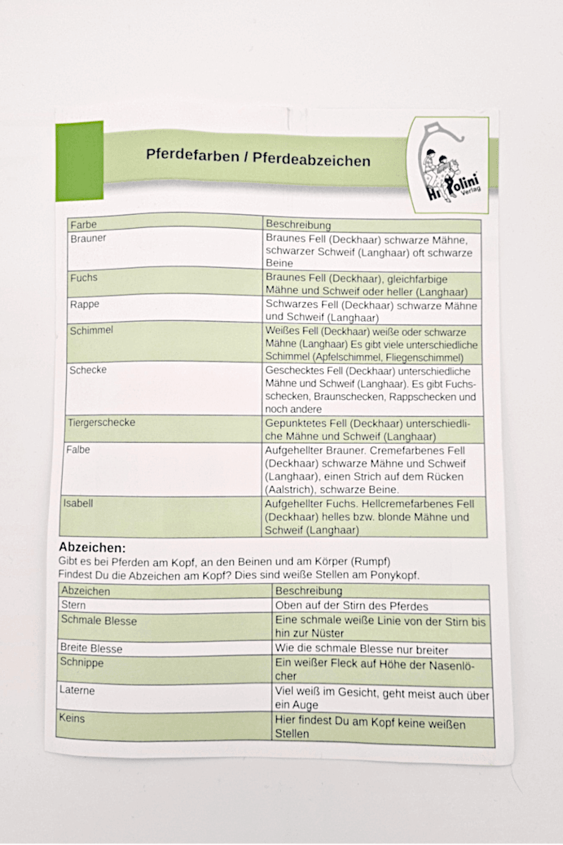 Magnetspiel Farben / Abzeichen - Hippolini-Verlag