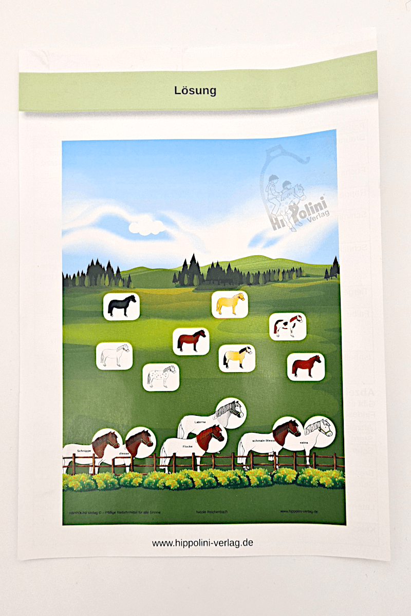 Magnetspiel Farben / Abzeichen - Hippolini-Verlag