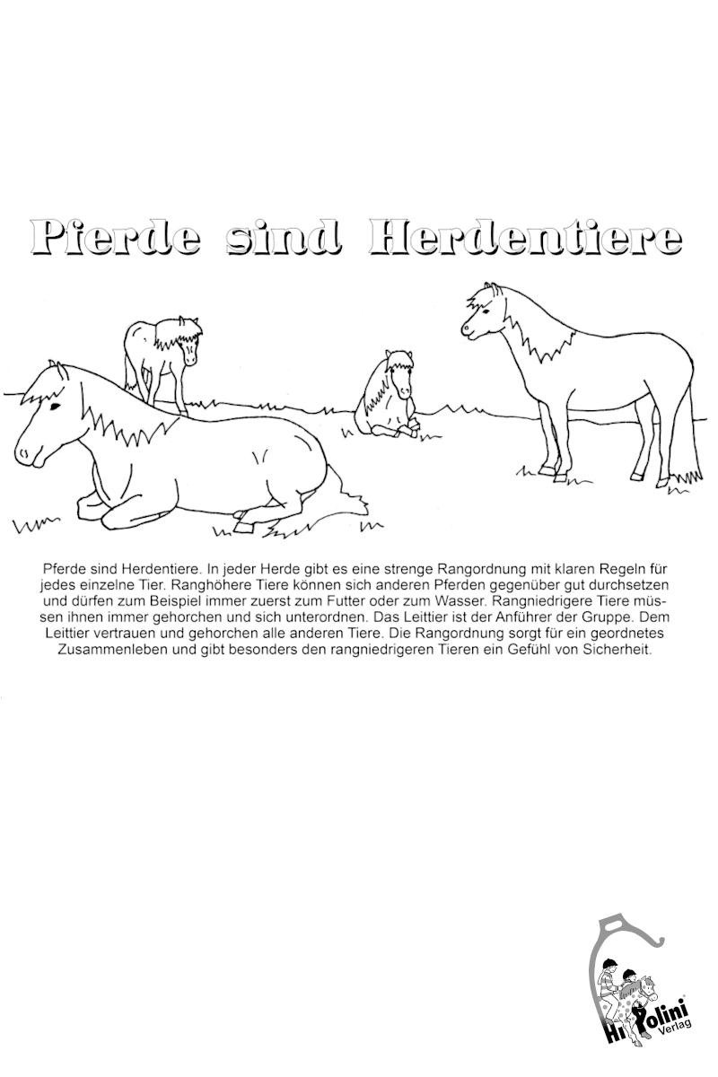 Vorlese-Malbuch für kleine Pferdeentdecker – Wo Träume und Wissen aufeinandertreffen! - Hippolini-Verlag