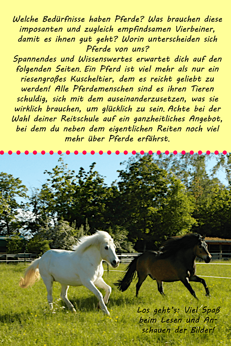 Wusstest du das? - Hippolini-Verlag