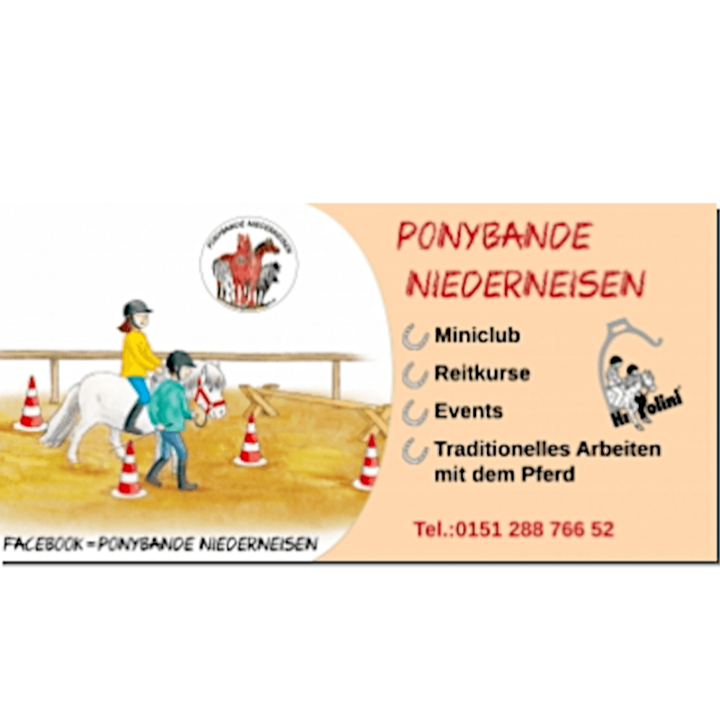 Werbebanner (mit deinen persönlichen Daten!) - Hippolini-Verlag