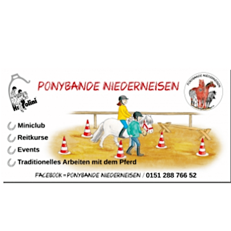 Werbebanner (mit deinen persönlichen Daten!) - Hippolini-Verlag