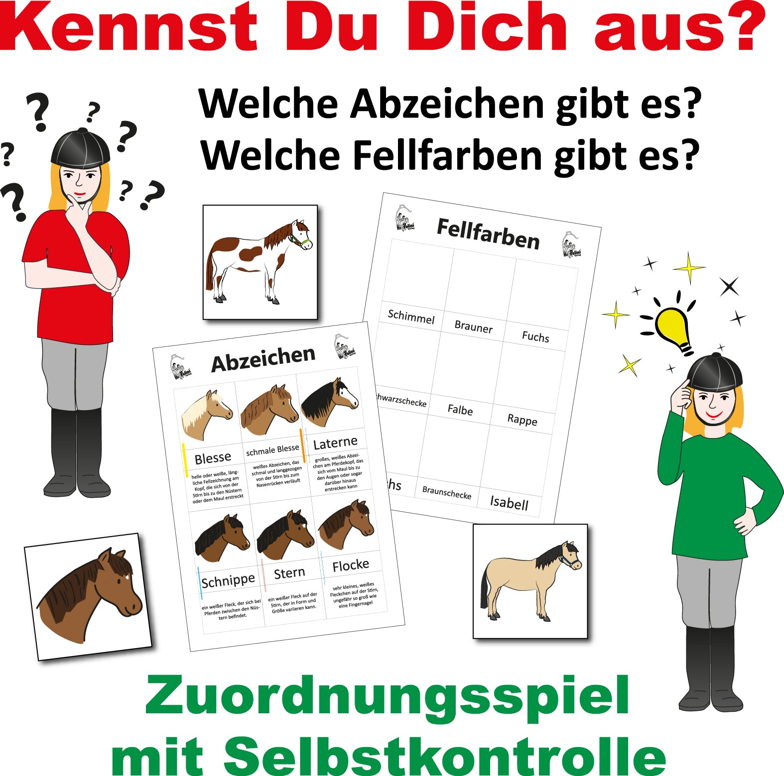 Zuordnungsspiel - Kennst du dich aus?