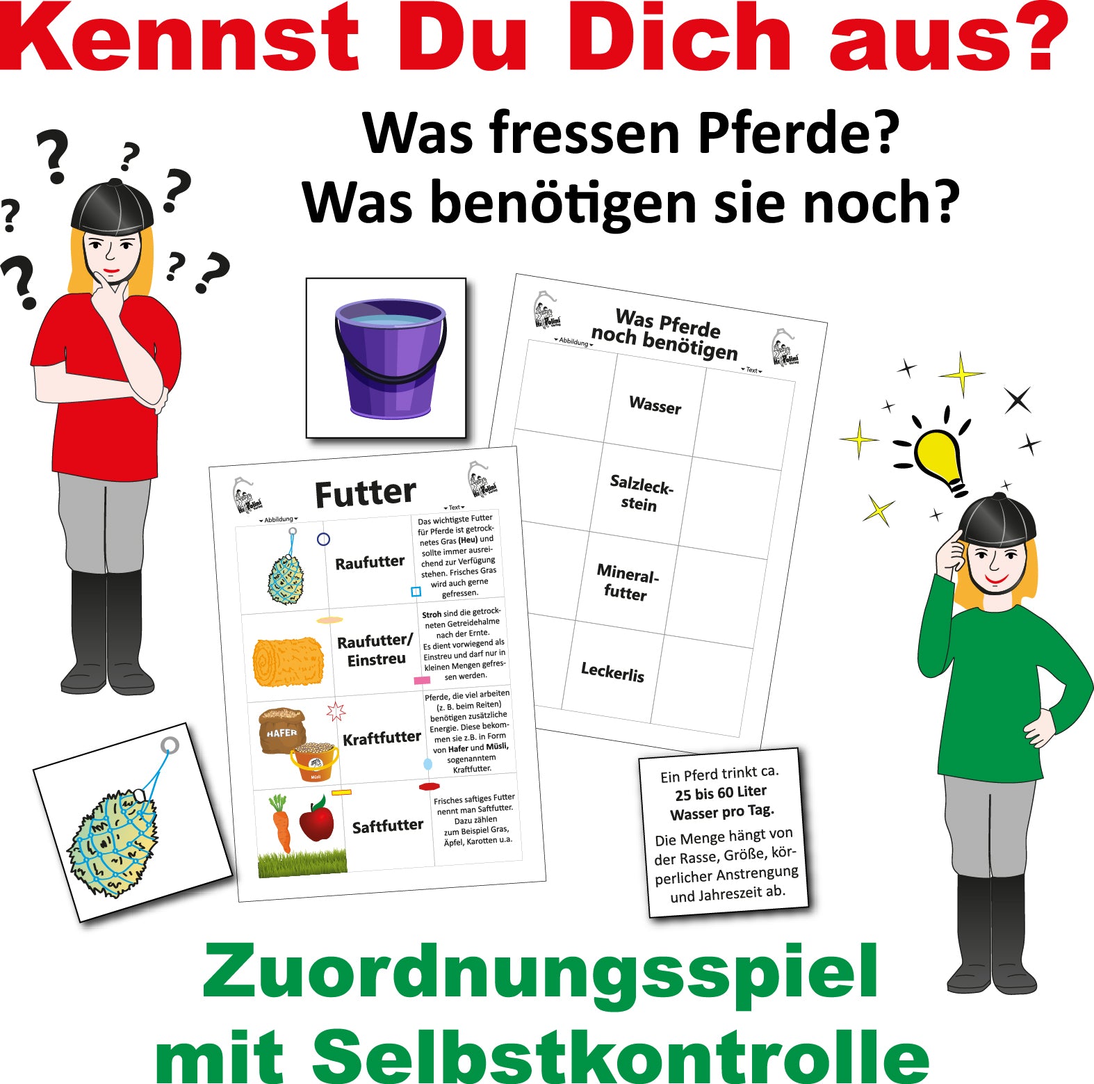 Zuordnungsspiel - Kennst du dich aus?
