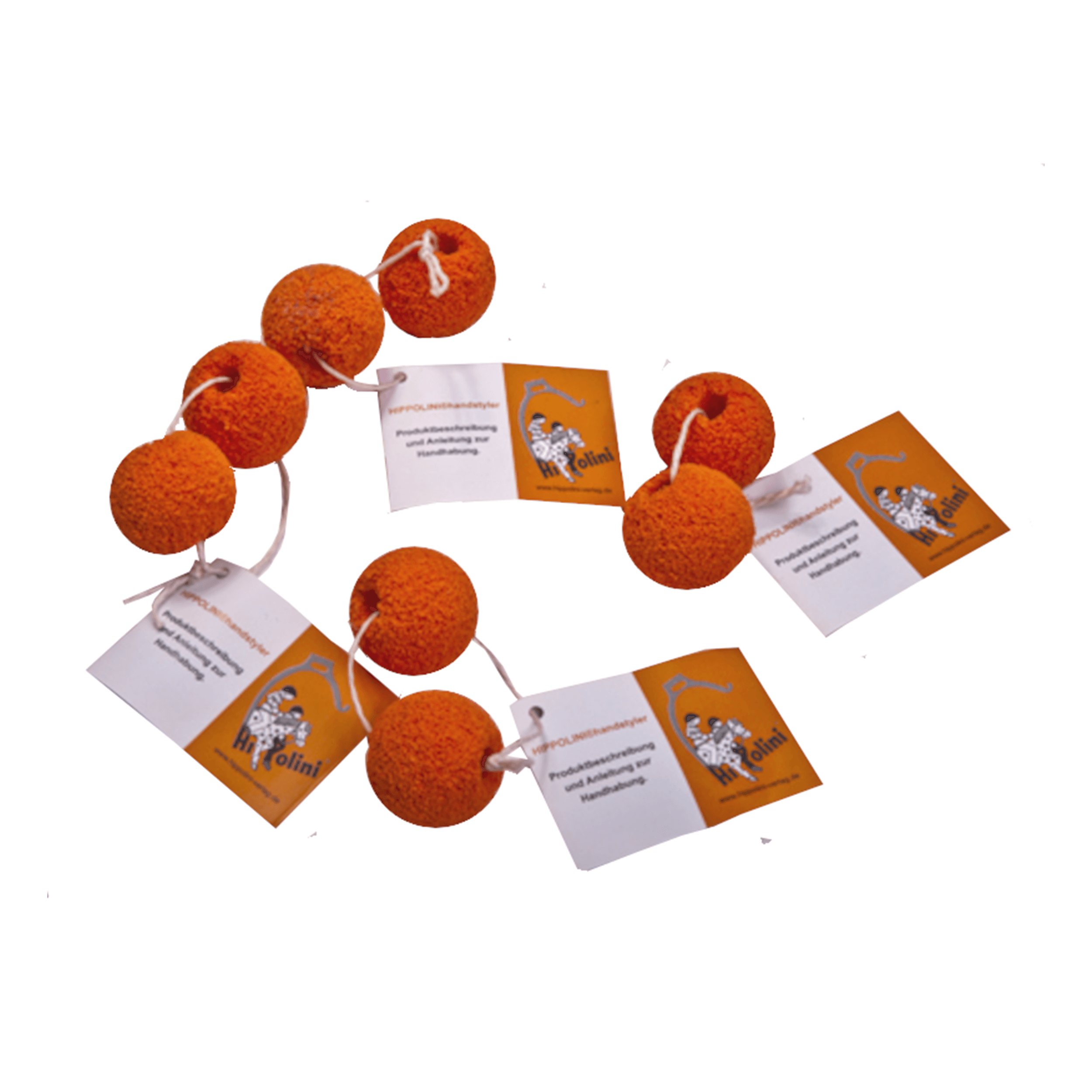 HIPPOLINI Einsteigerbundle - Hippolini-Verlag
