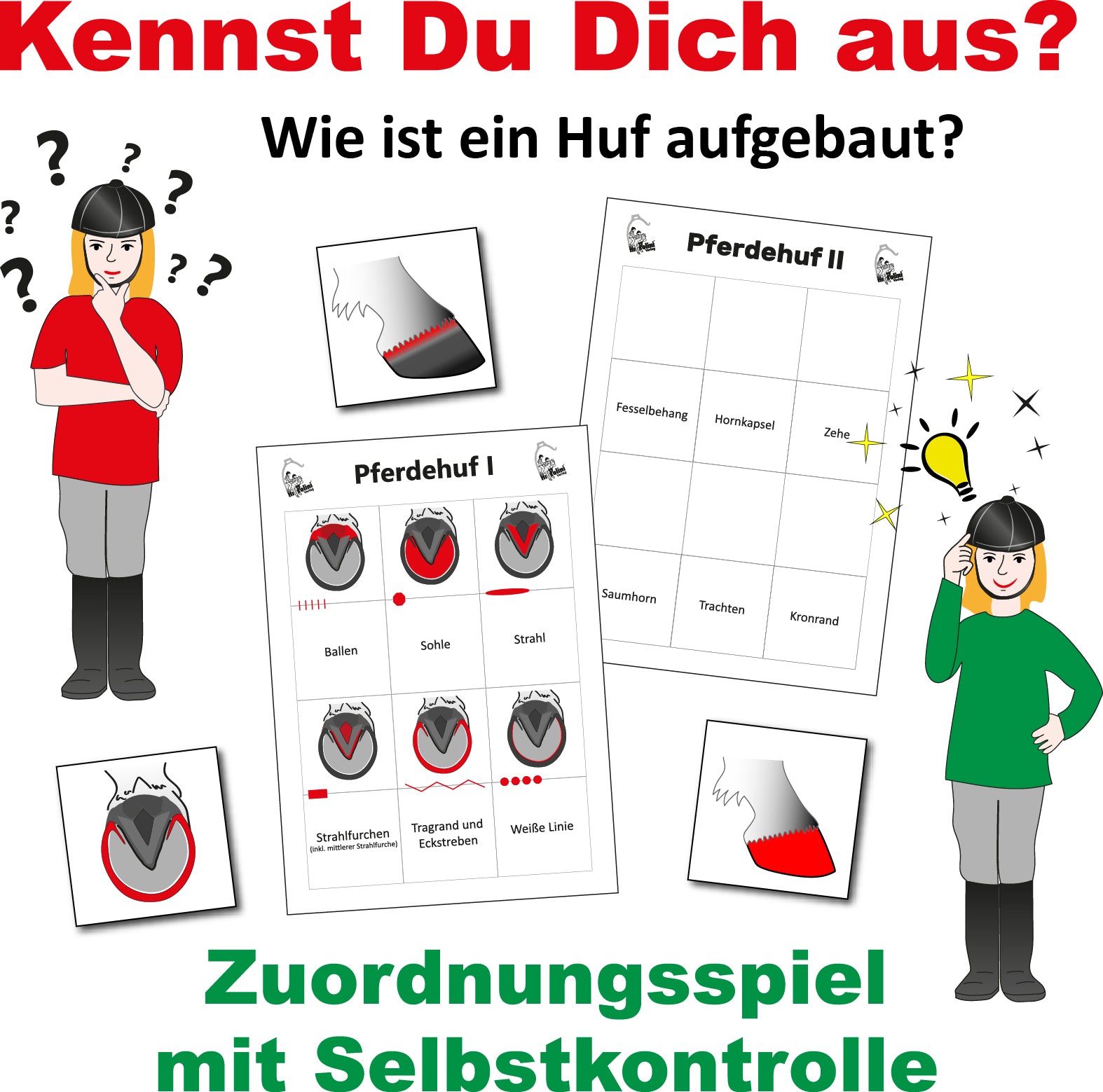 Zuordnungsspiel - Kennst du dich aus?