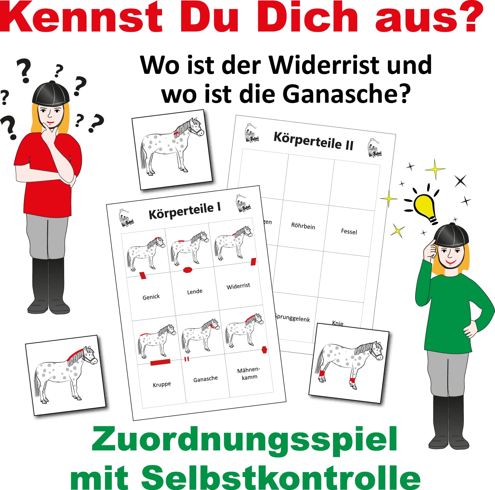 Zuordnungsspiel - Kennst du dich aus?
