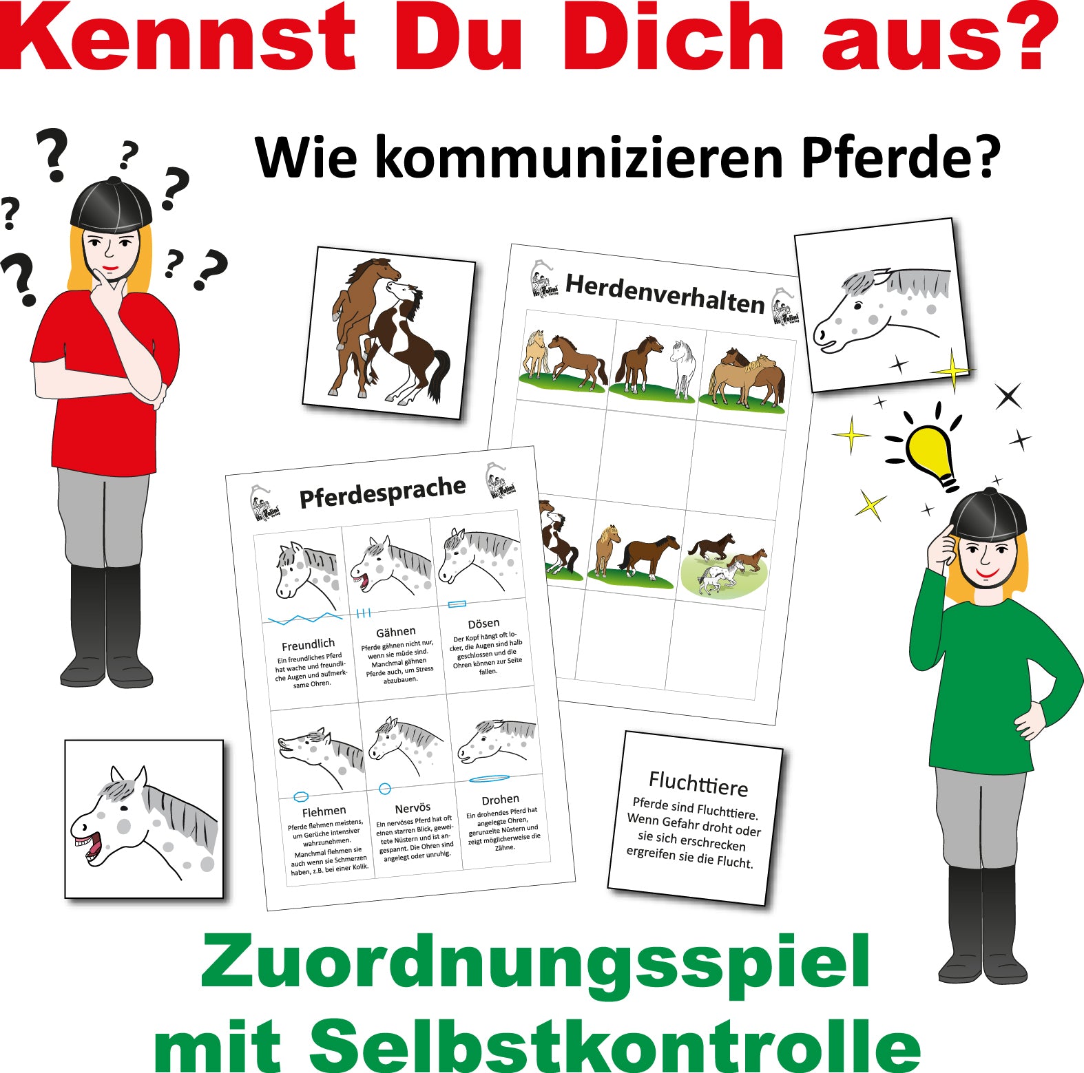 Zuordnungsspiel - Kennst du dich aus?