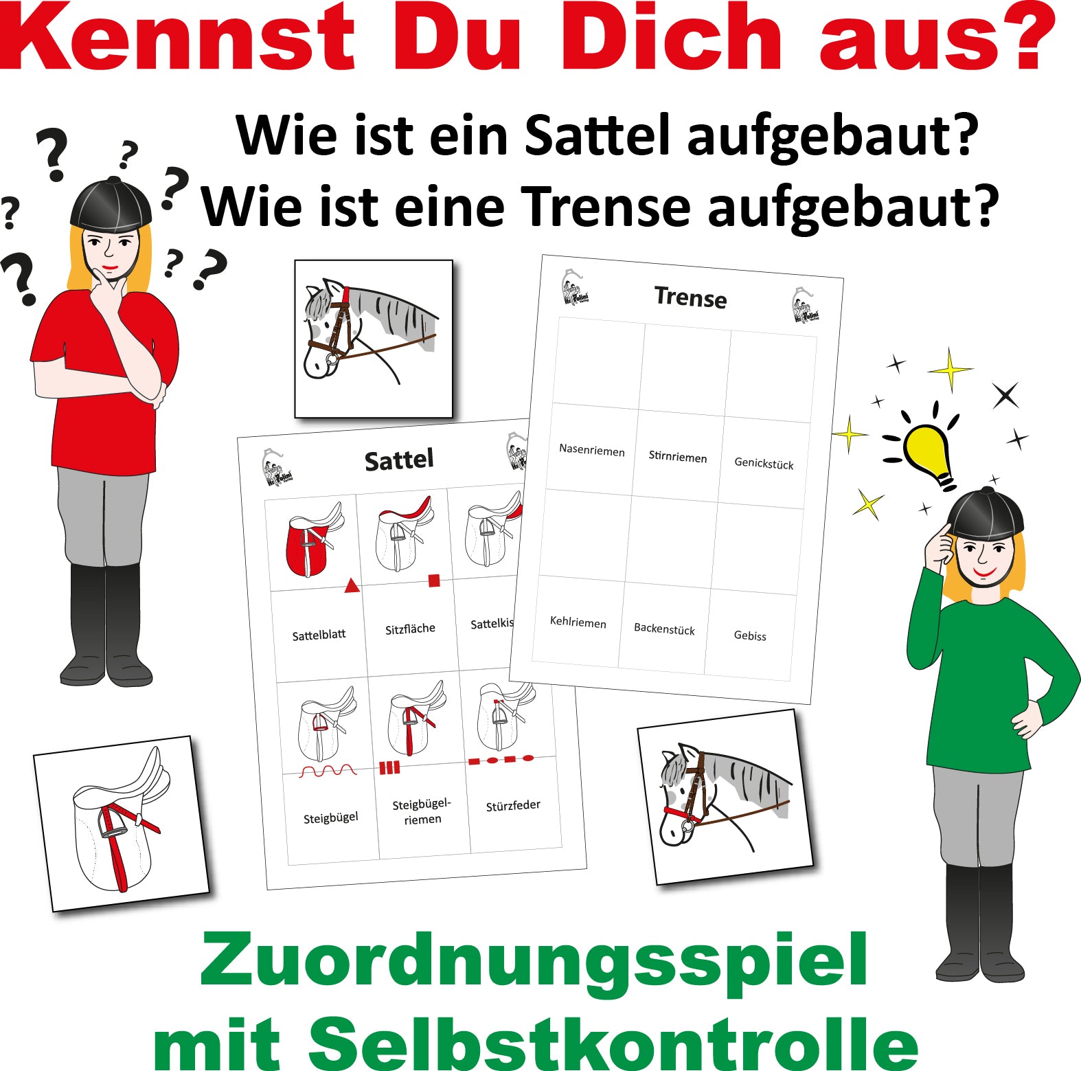 Zuordnungsspiel - Kennst du dich aus?