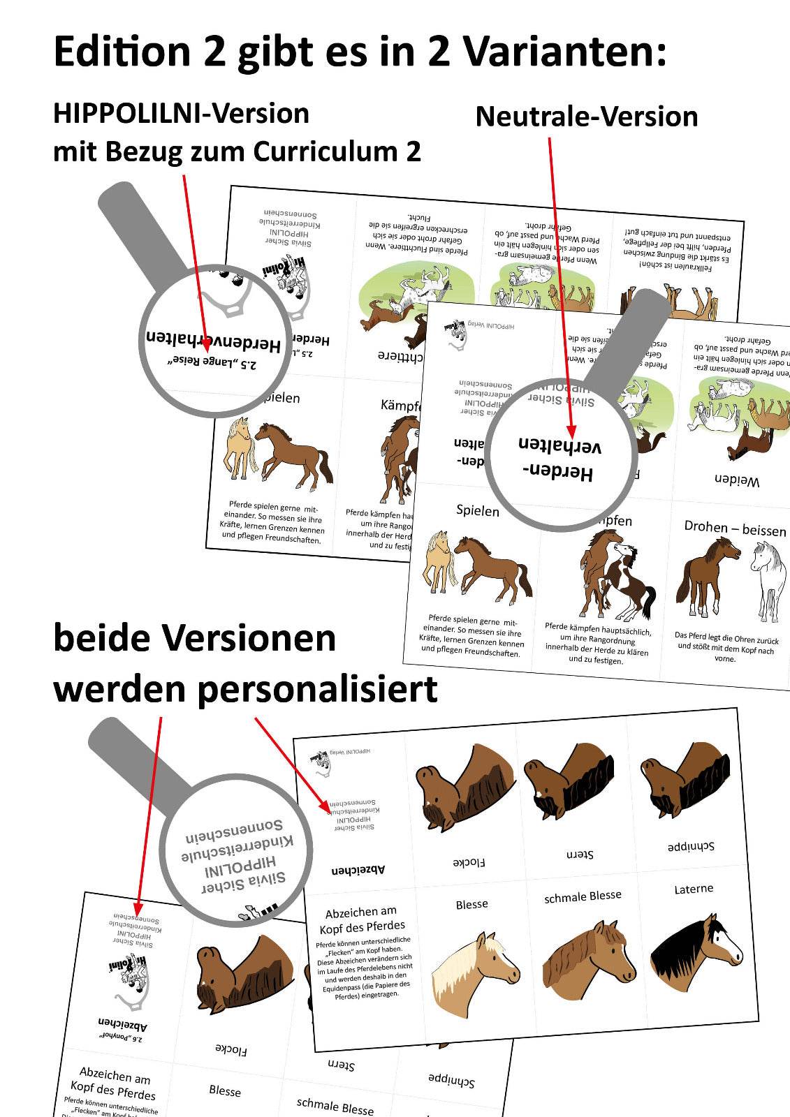 Minibooks Curriculum HIPPOLINI 2 - Hippolini-Verlag