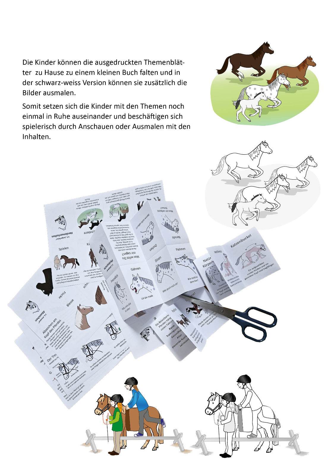 Minibooks Curriculum HIPPOLINI 2 - Hippolini-Verlag