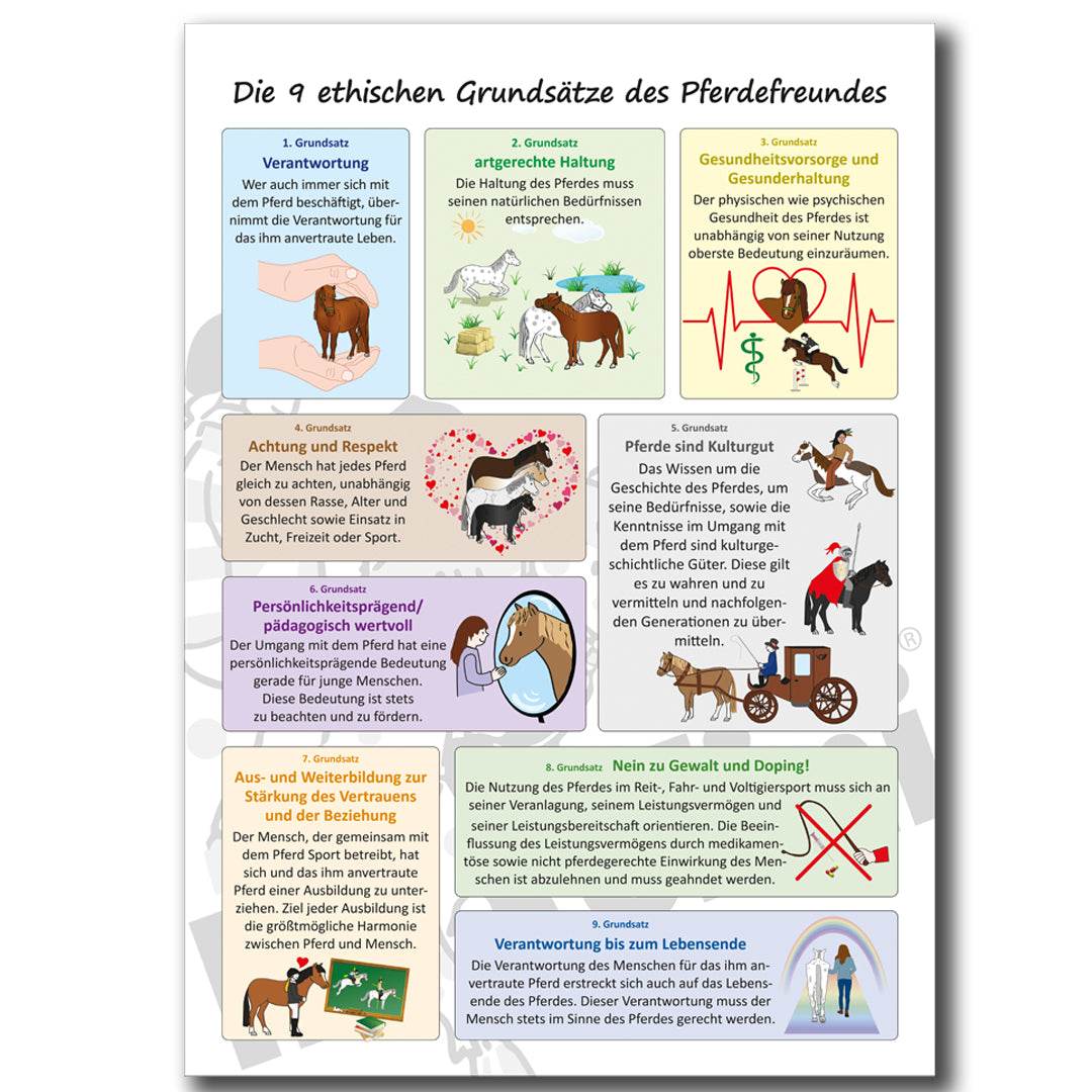 Lehrplakat “Die 9 ethischen Grundsätze des Pferdefreundes” - Hippolini-Verlag