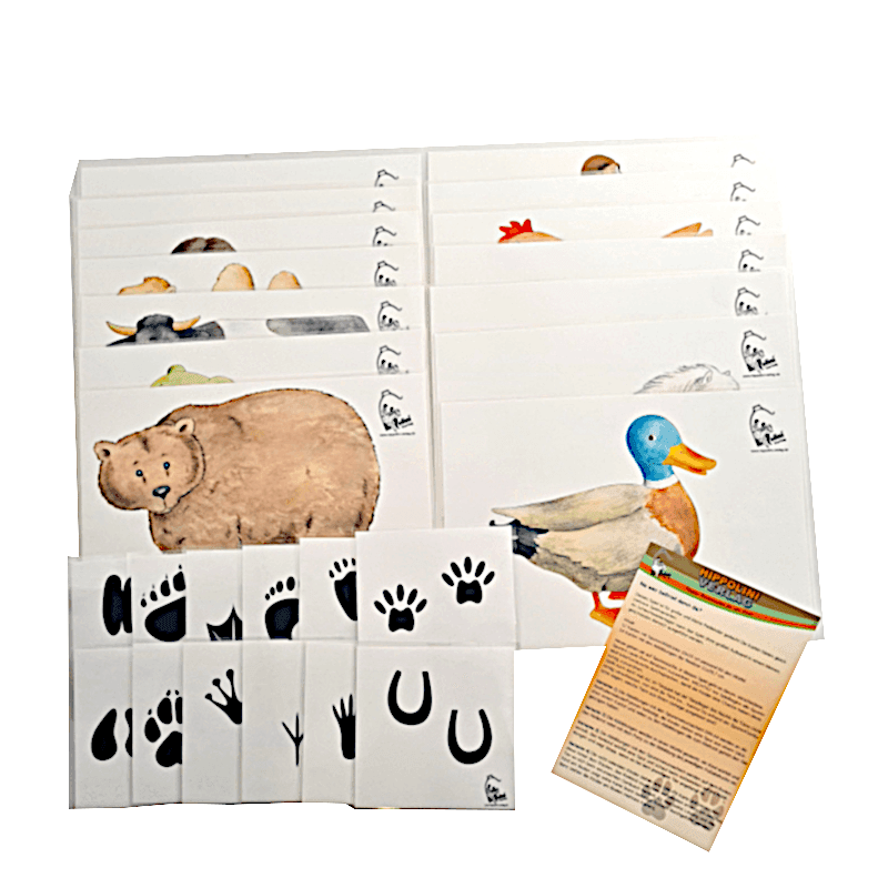 Reitspiel „Spurensuche – Tiere und ihre Laute“ – Downloadversion - Hippolini-Verlag